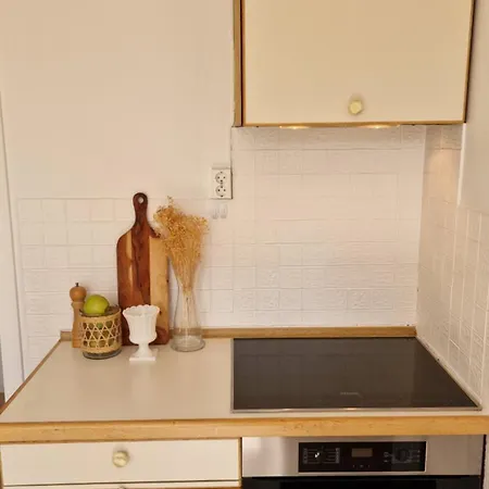 Frederik Stang's Garden *